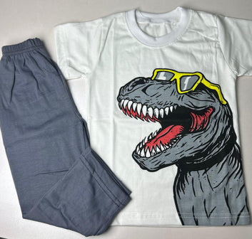 Kids T-Rex Print– Cool Casual Outfit for Boys
